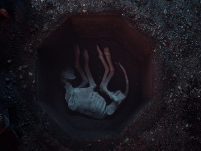 This custom fabricated grave and decaying corpse dog prop was created for the title sequence of the film Wish Upon. 	